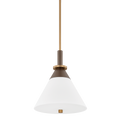 Staton Pendant