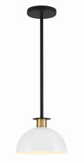 Gigi 10'' Black + Aged Brass Pendant