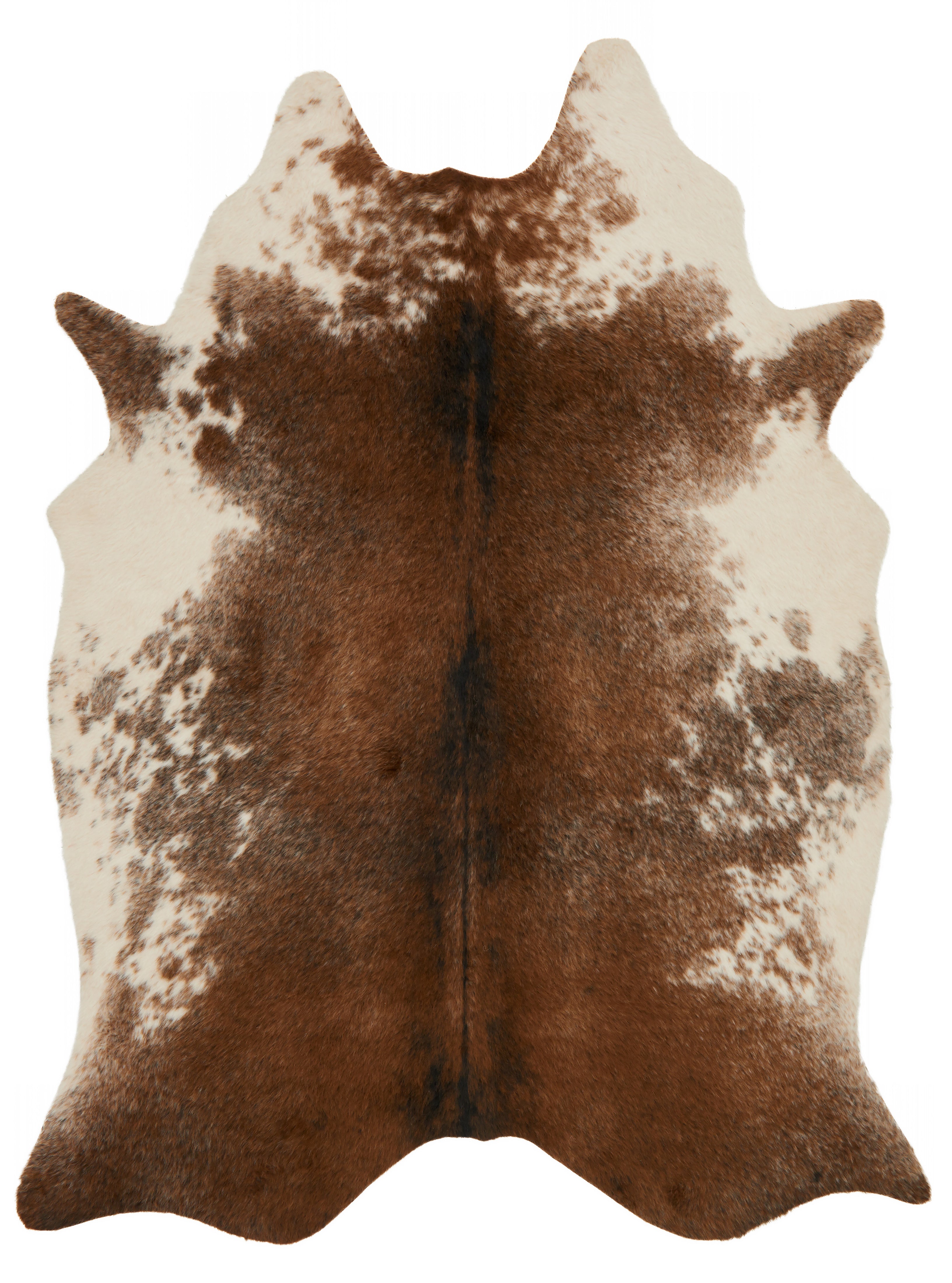 Loloi II | Grand Canyon Collection | Coffee / Ivory | GC-14