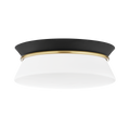 Cath Flush Mount