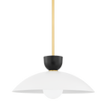 Whitley Pendant