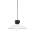 Whitley Pendant