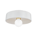 Ray Flush Mount