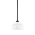 Luella Pendant