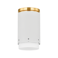 Asa Flush Mount
