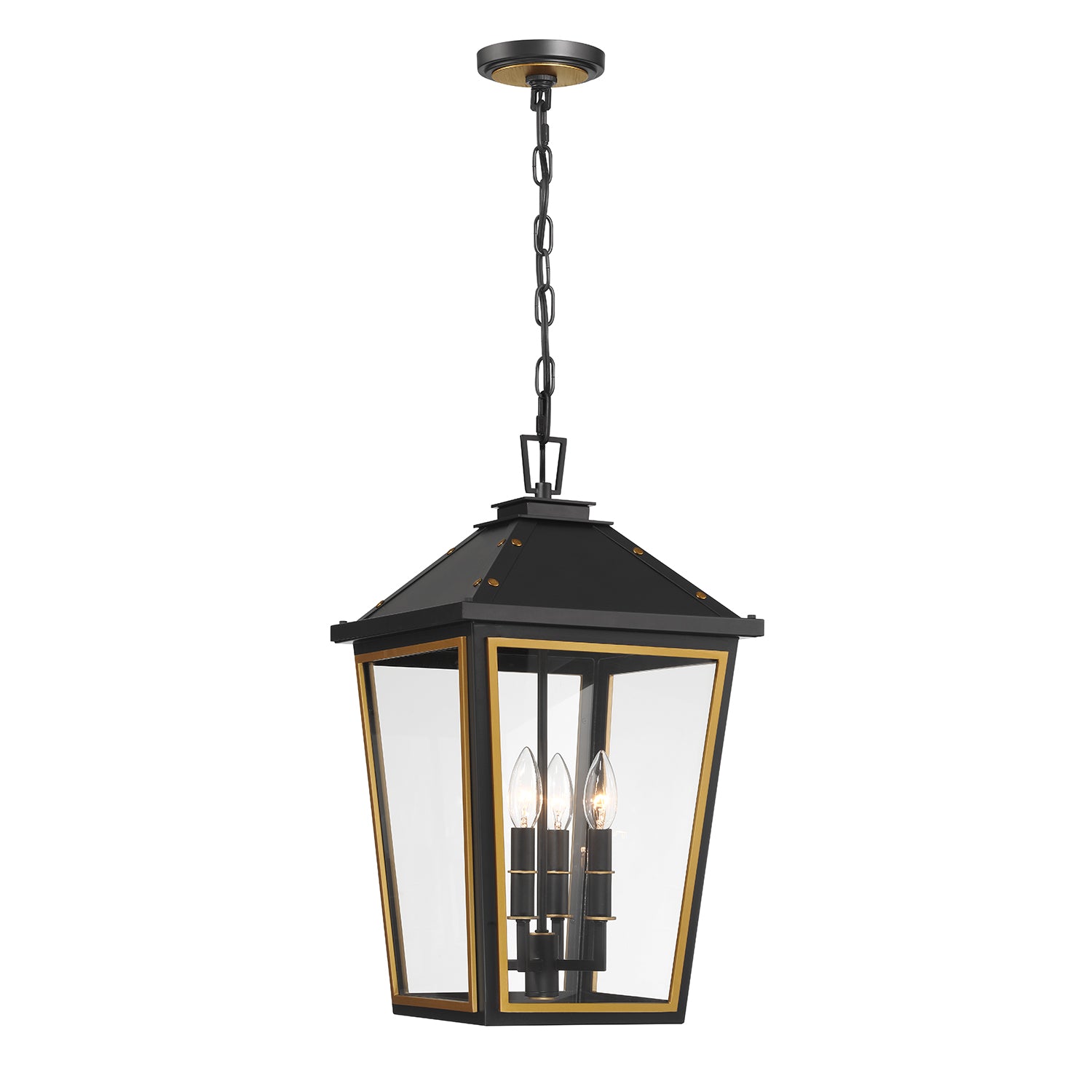 Hawkins 12'' Matte Black + Textured Gold Outdoor Pendant