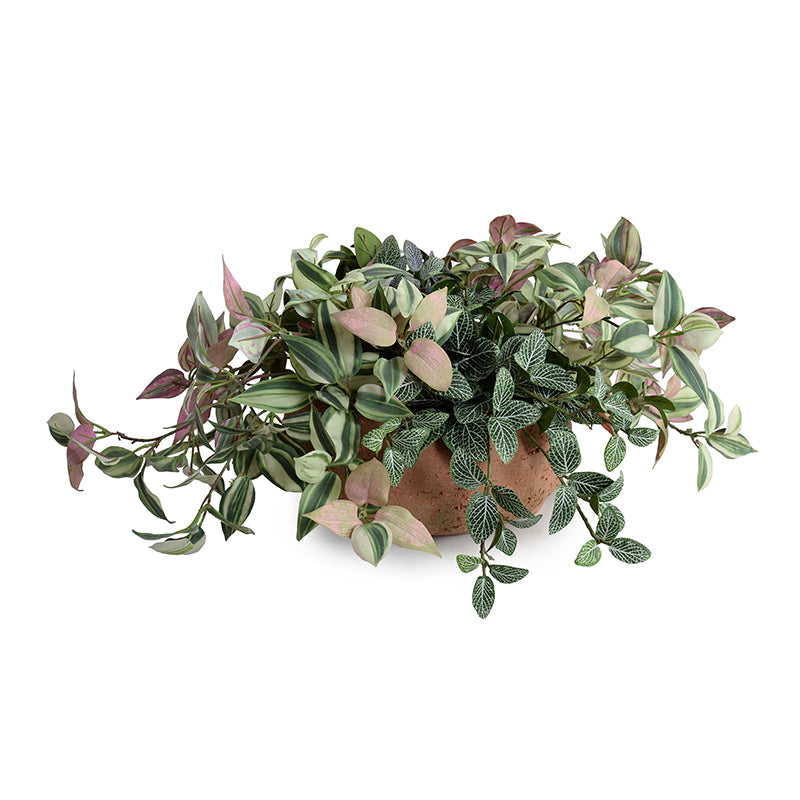 Fittonia & Inch Plants in Clay Bowl 11"H