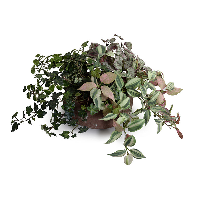 Assorted Greenery in Clay Bowl 11"H