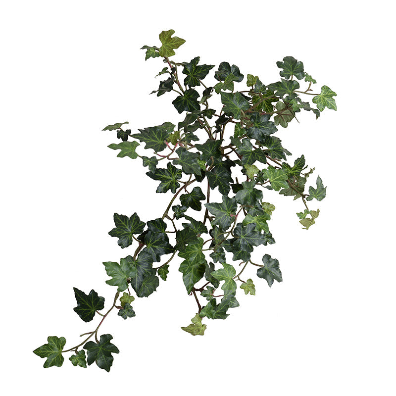 Ivy Spray, 12"L