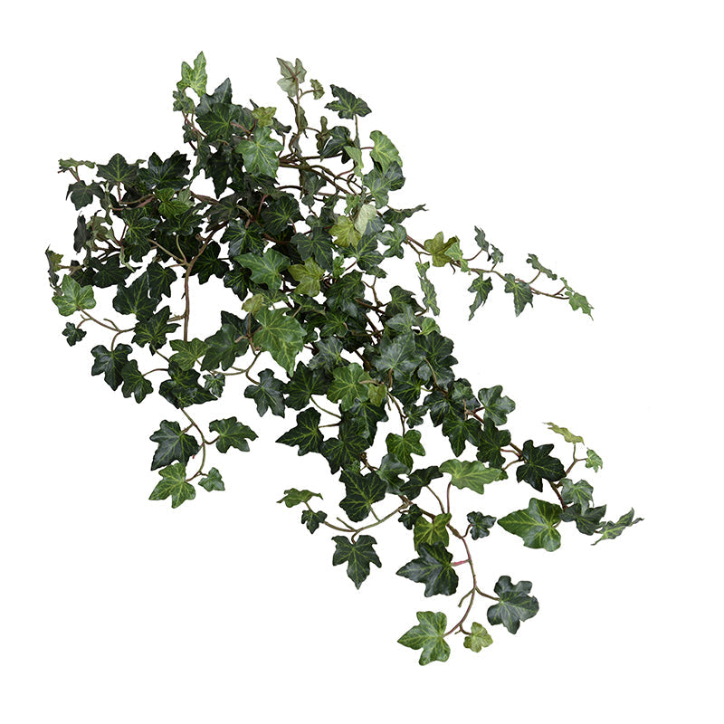 Ivy Spray, 18"L