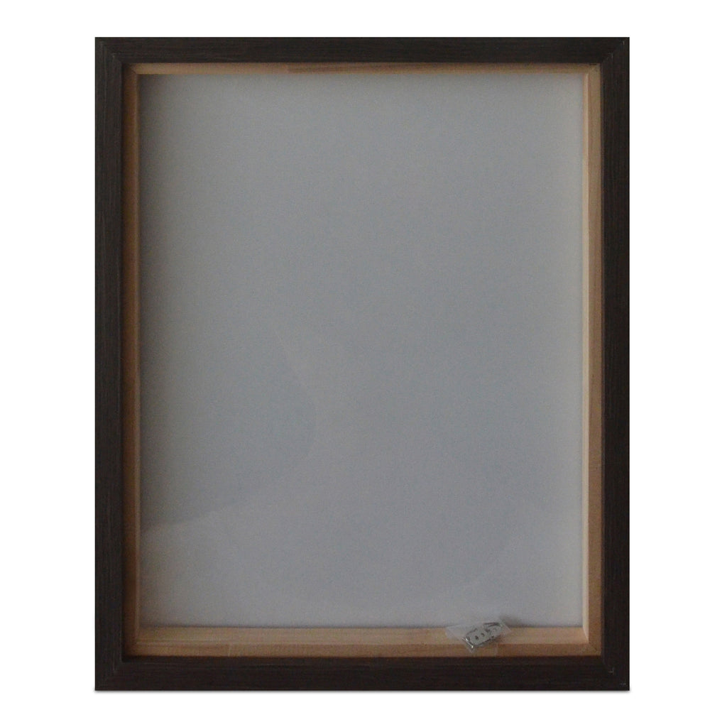 Intrepid Framed Painting