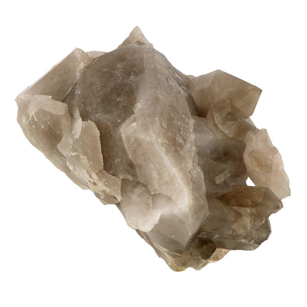 Smokey Quartz Cluster Specimen | Medium
