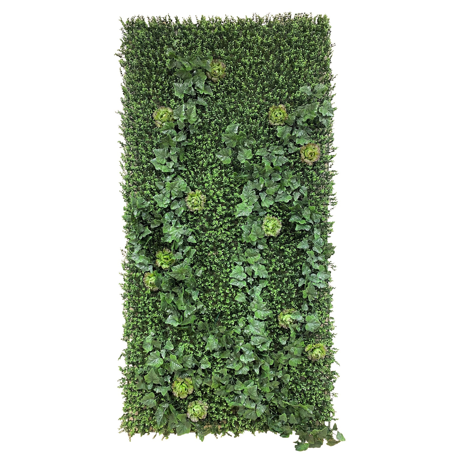 4' x 8' Green Wallscape Kit - Boxwood, Ivy, Succulents