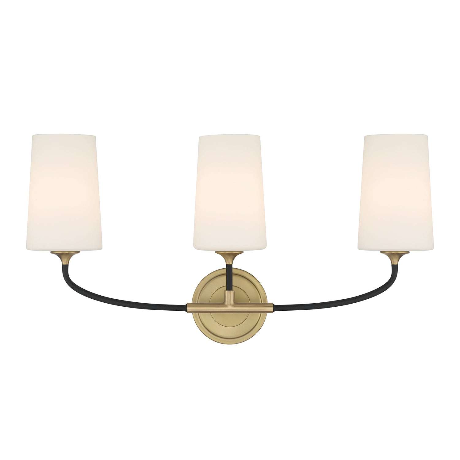 Niles 23.5'' Black Forged + Modern Gold Bathroom Vanity