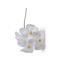 Phalaenopsis Orchid x 4 Stem 26"