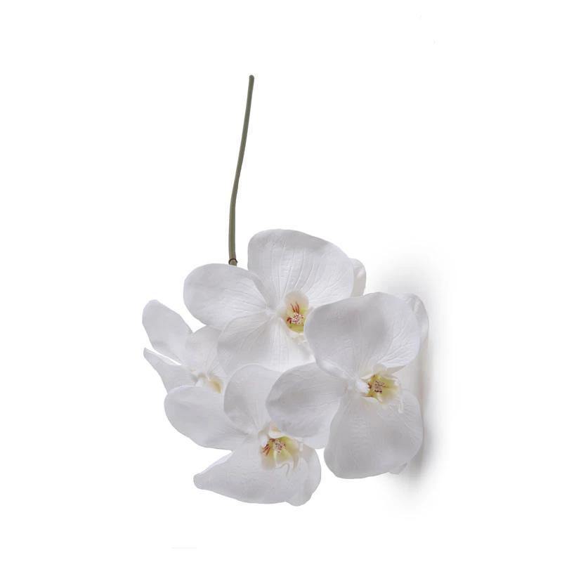 Phalaenopsis Orchid x 4 Stem 26"