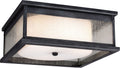 Pediment Flush Mount Dark Weathered Zinc