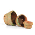 Orchid Pot Set of 3