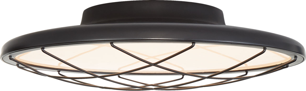 Dot 13" Caged Flush Mount | Matte Black