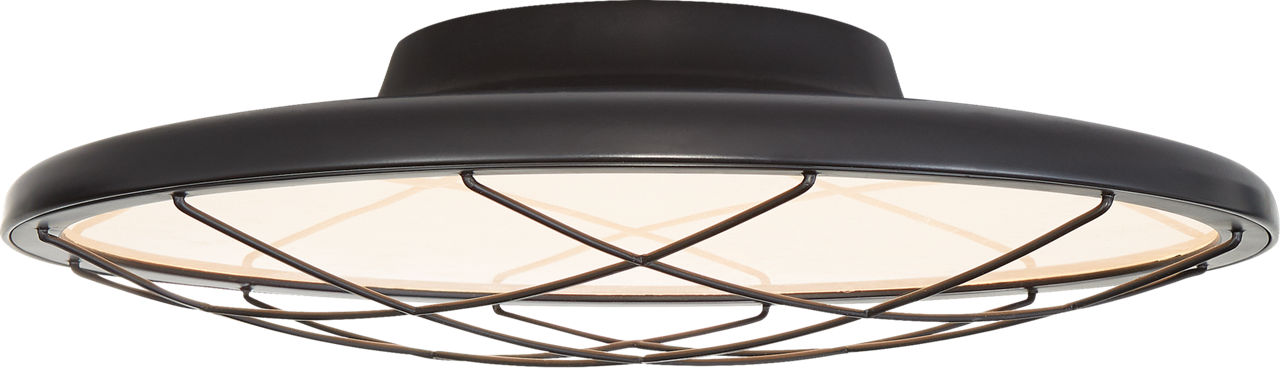 Dot 16" Caged Flush Mount | Matte Black