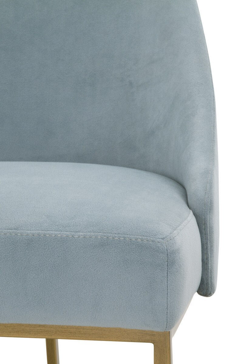 Parissa Dining Chair, Set of 2 | Coastal Velvet