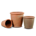 Terracotta Rimmed Pot Set of 3