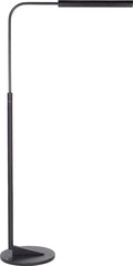 Austin Adjustable Floor Lamp | Aged Iron