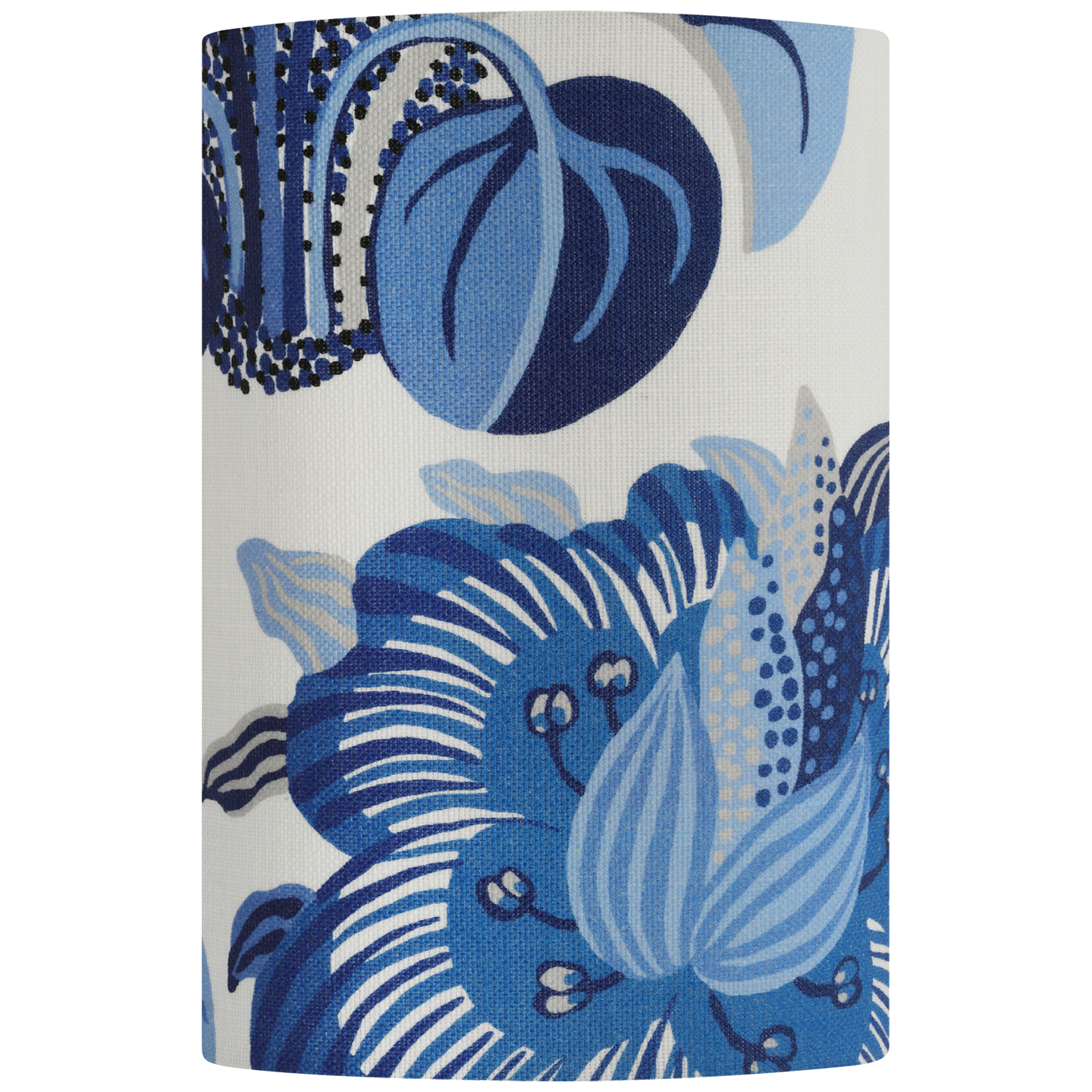 Maeve 8" Shield Sconce | Hand-Rubbed Antique Brass | Schumacher Marine Exotic Butterfly Shield