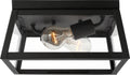 Founders Flush Mount | Black