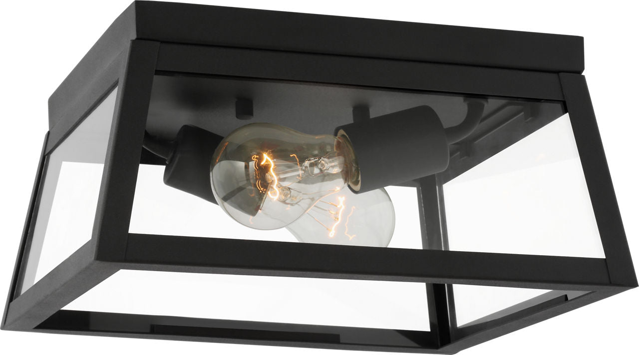 Founders Flush Mount | Black Clear Bulb