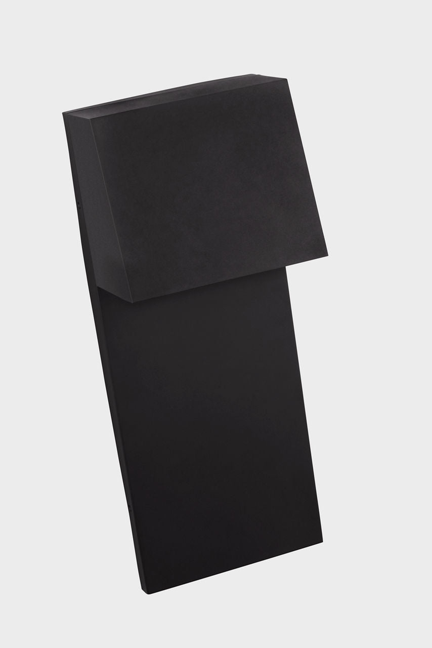 Rocha Extra Large LED Outdoor Wall Lantern Black Bulbs Included