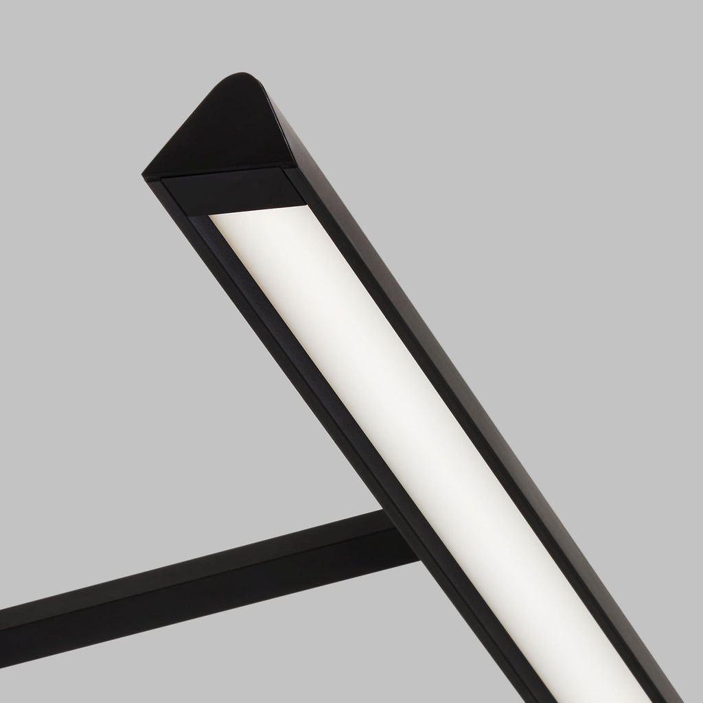 Dessau 12 Picture Light Nightshade Black LED 90 CRI 3000K 120V