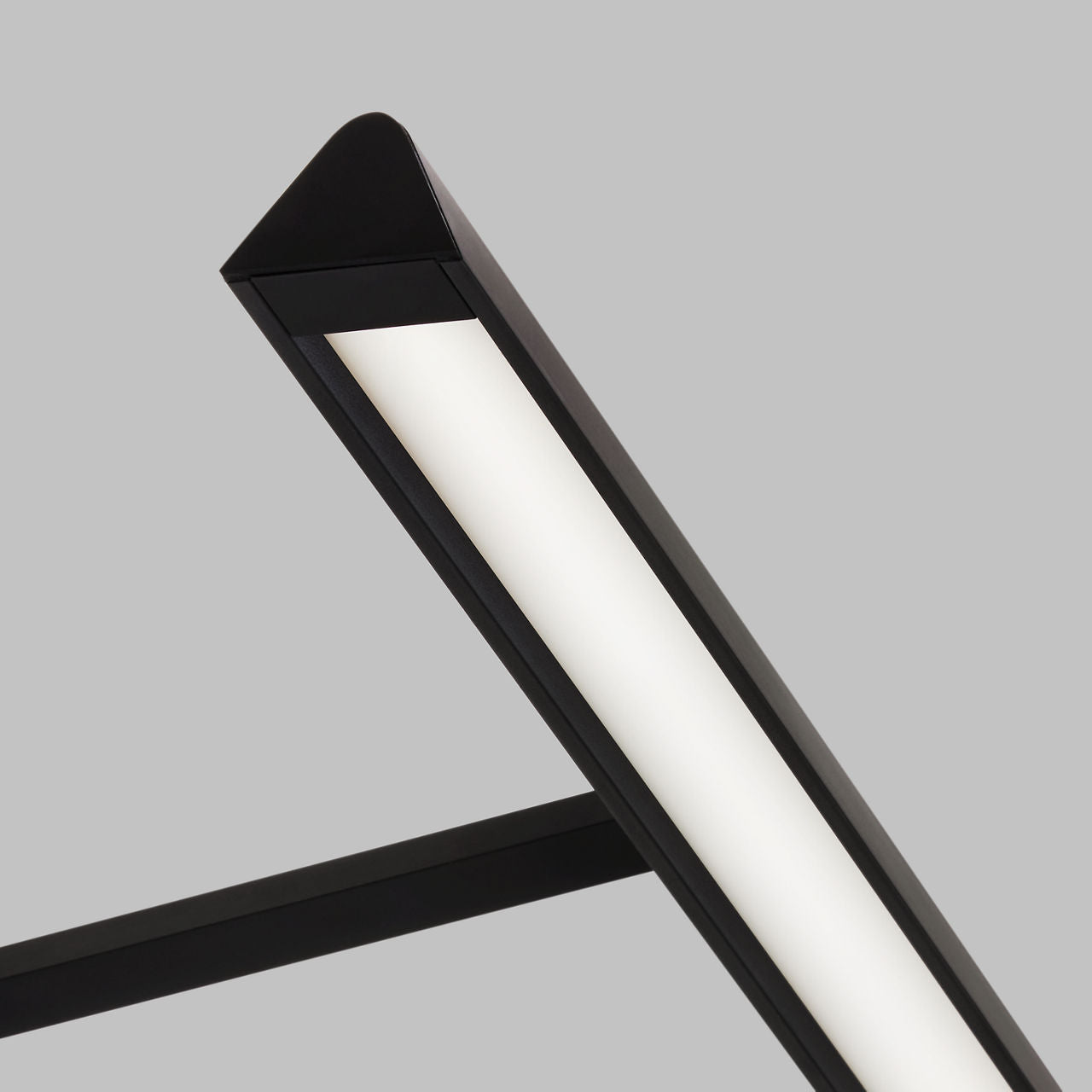 Dessau 12 Picture Light Nightshade Black LED 90 CRI 3000K 120V