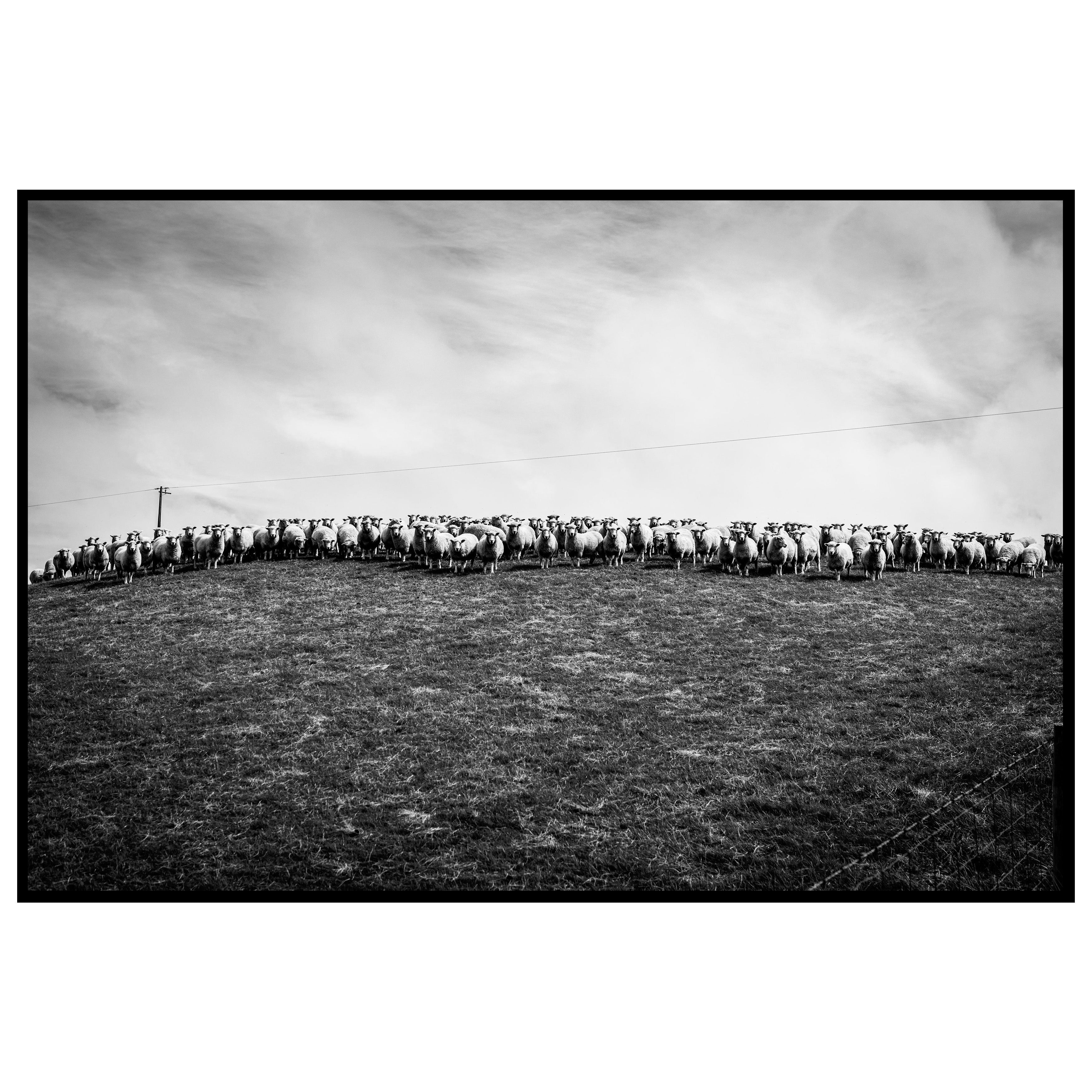 Echoes of the Catlins