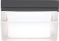 Boxie Small Outdoor Wall/Flush Mount Small Charcoal 3000K 90 CRI