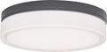 Cirque Large Outdoor Wall/Flush Mount Large Charcoal 3000K 90 CRI