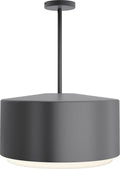 Roton 18 Outdoor Pendant Charcoal 3000K 90 CRI