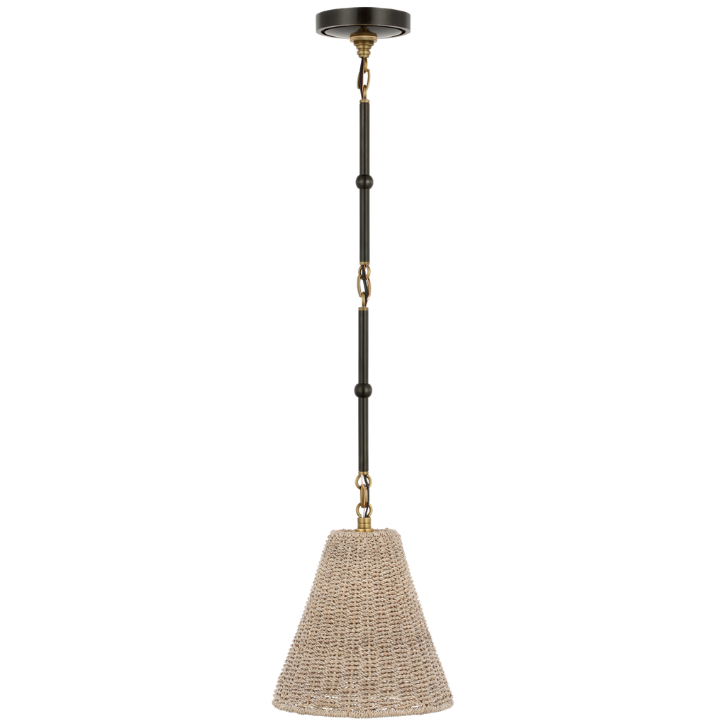 Goodman Petite Hanging Shade | Bronze and Hand-Rubbed Antique Brass | Ash Shade