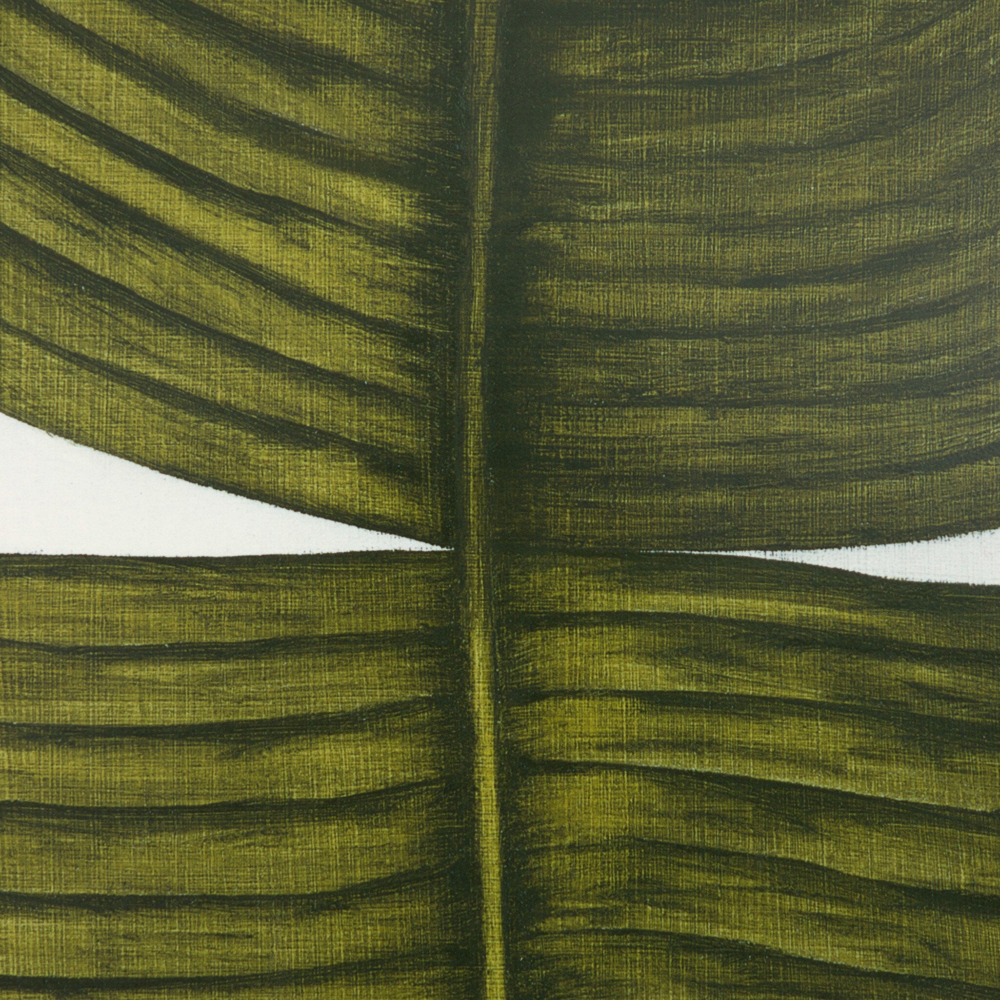 Ficus Elastica by Marianne Hendriks - Maple Box