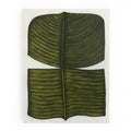 Ficus Elastica by Marianne Hendriks - Maple Box