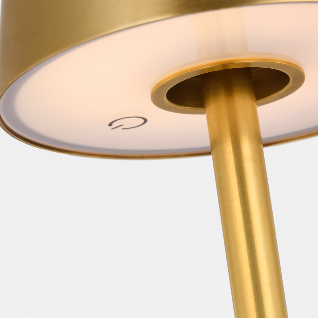 Nevis Medium Rechargeable Floor Lamp Hand Rubbed Antique Brass 2700K 90 CRI