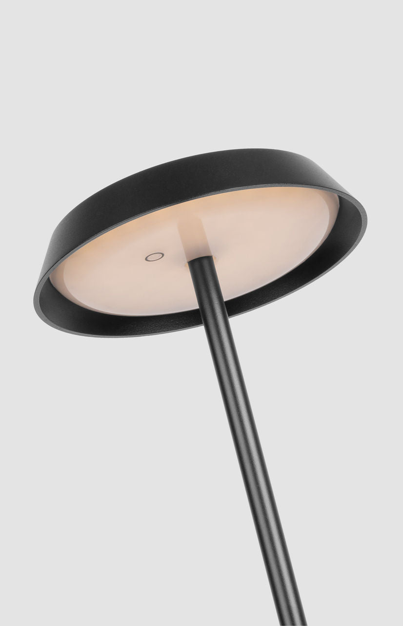 Tepa Medium Rechargeable Floor Lamp Black 2700K 90 CRI
