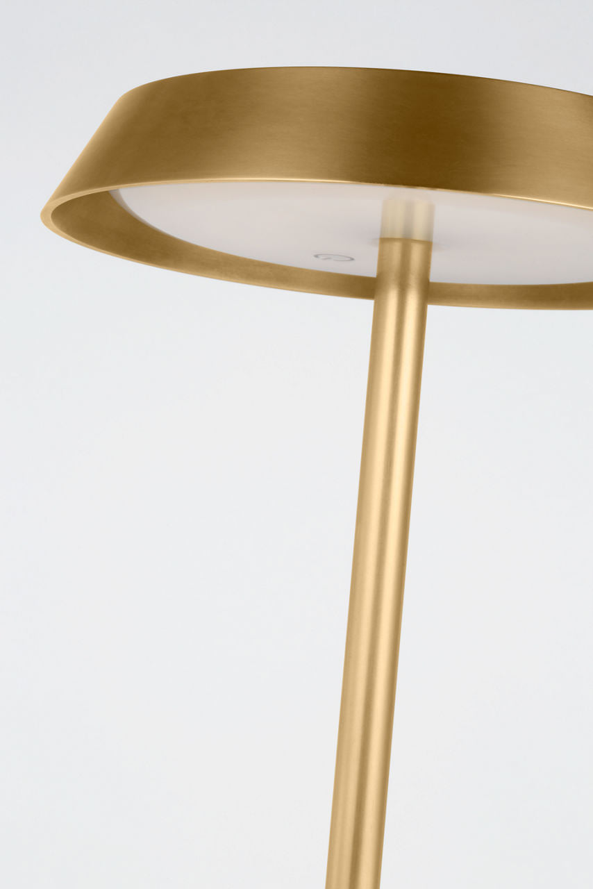 Tepa Medium Rechargeable Floor Lamp hand rubbed antique brass 2700K 90 CRI
