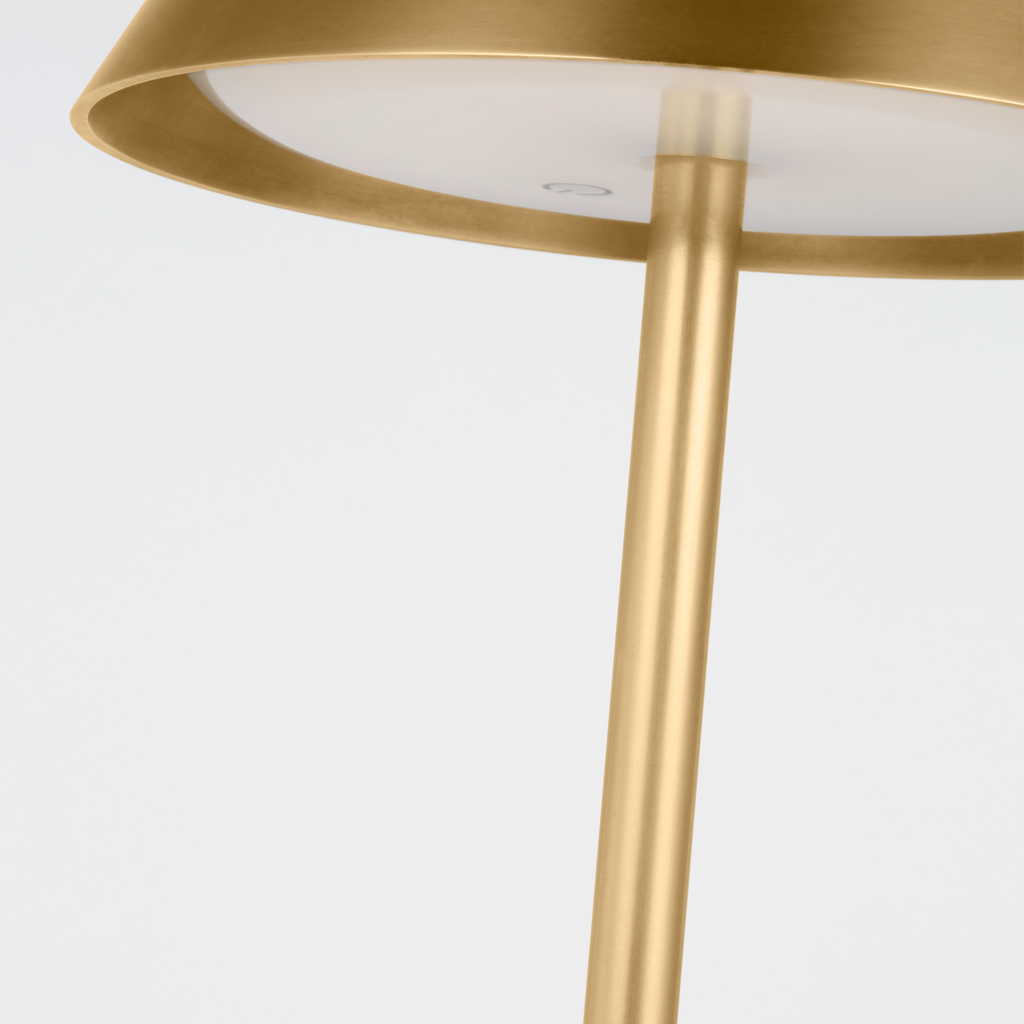 Tepa Medium Rechargeable Floor Lamp hand rubbed antique brass 2700K 90 CRI