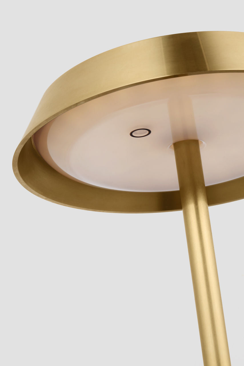 Tepa Medium Rechargeable Floor Lamp hand rubbed antique brass 2700K 90 CRI