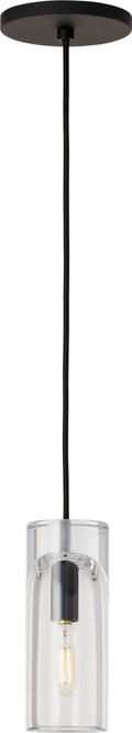 Horizon Small Accent Pendant Clear Nightshade Black LED 2700K 90 CRI lamp