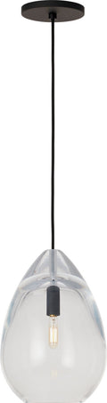 Alina Medium Accent Pendant Clear Nightshade Black LED 2700K 90 CRI lamp