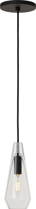 Lustra Small Accent Pendant | Clear Nightshade Black Bulb Not Included