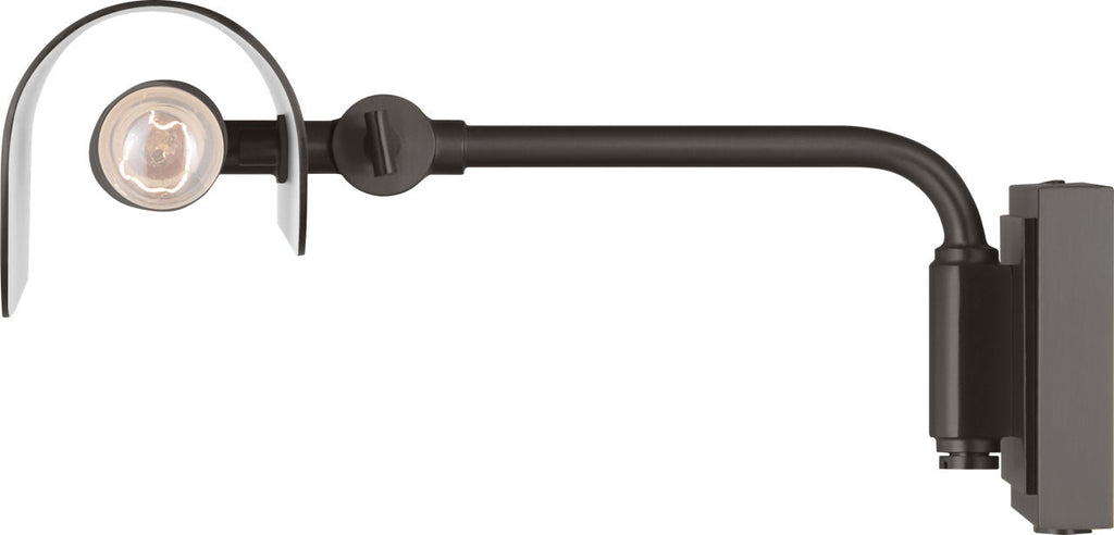 Hull 13" Picture Light Aged Iron