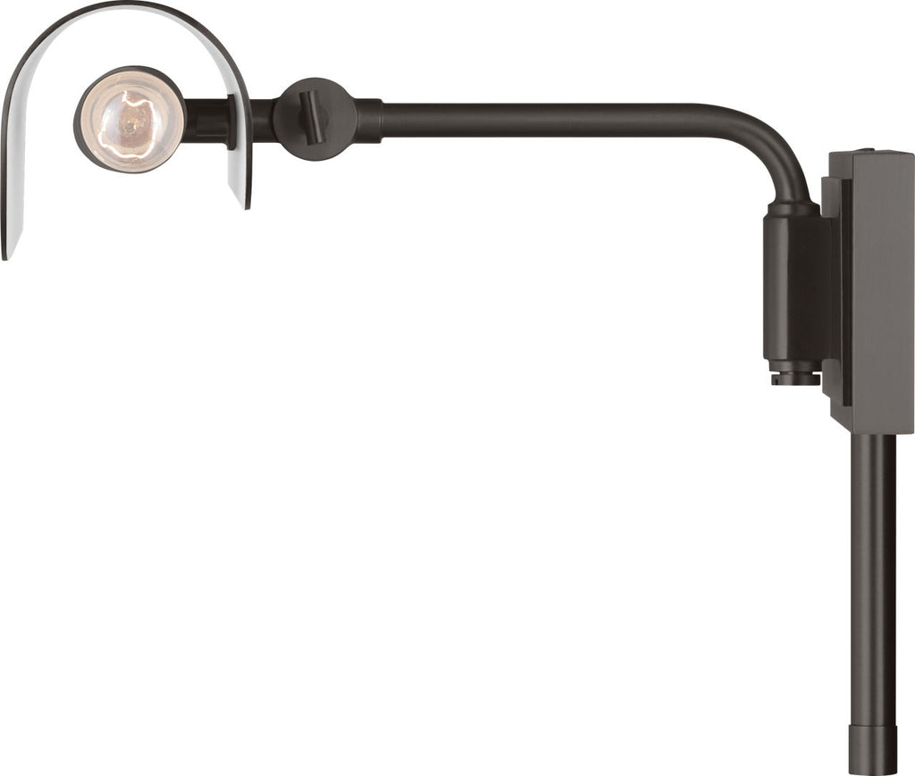 Hull 13" Picture Light Aged Iron